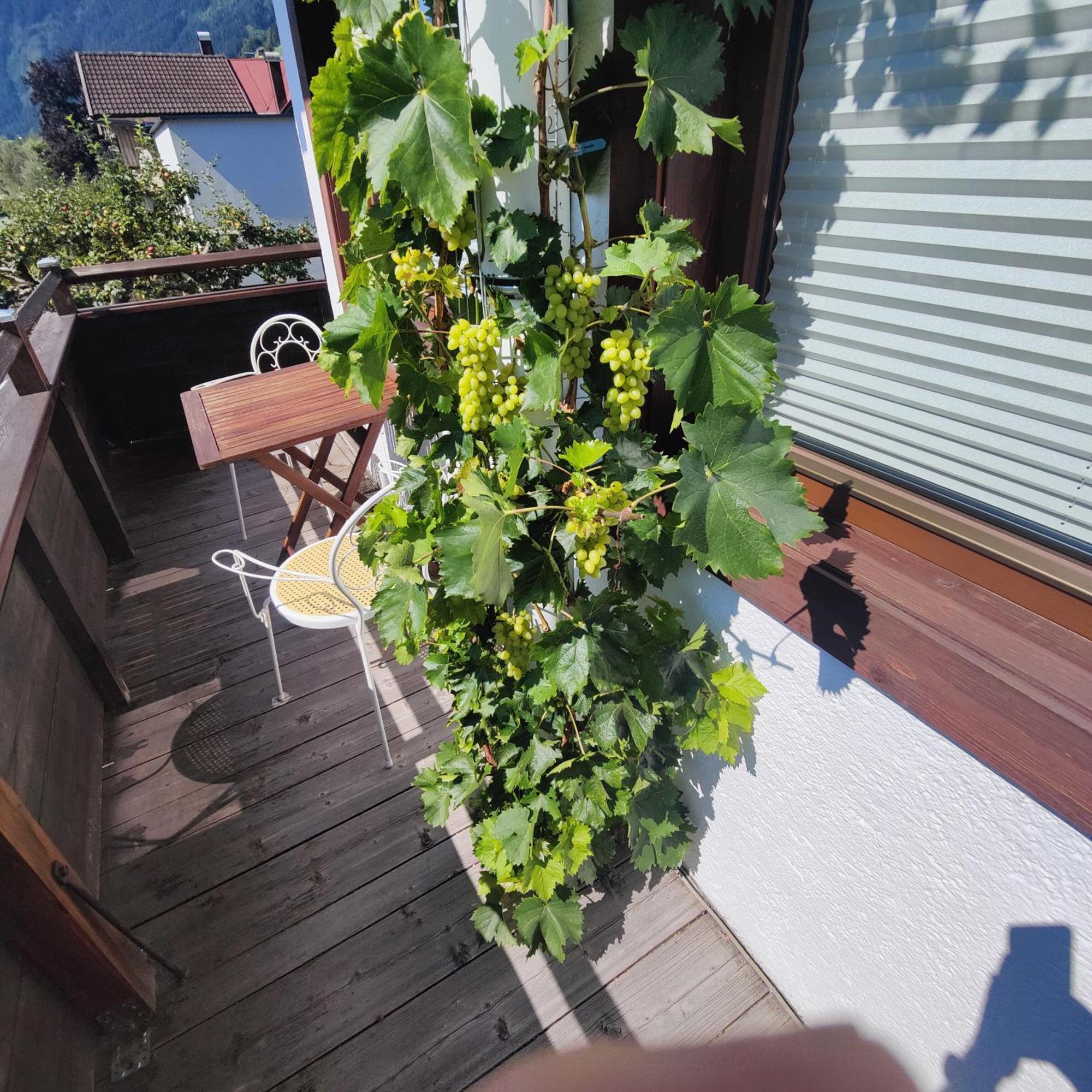 Apartment Reiter Zellbergeben エクステリア 写真